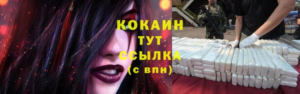 дживик Алзамай