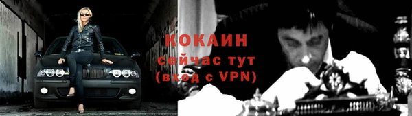 дживик Алзамай