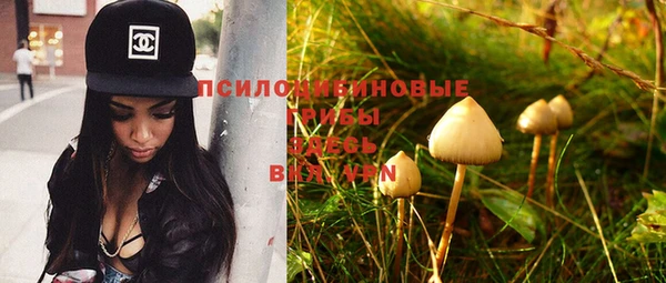 дживик Алзамай