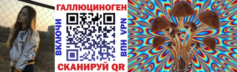 Псилоцибиновые грибы мицелий  магазин  наркотиков  Дмитров 